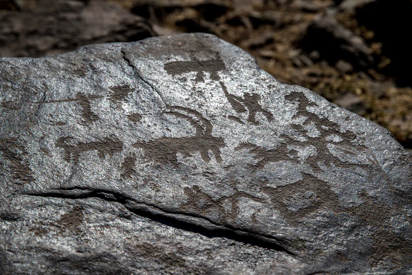 Gemigaya rock paintings, Ordubad